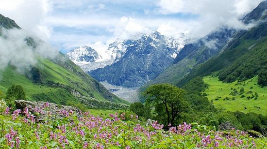 Valley of Flowers Tourism and Travel Guide, Hill Station, Sightseeing ...