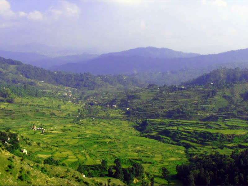 Ranikhet Tourism and Travel Guide, Hill Station, Sightseeing and ...